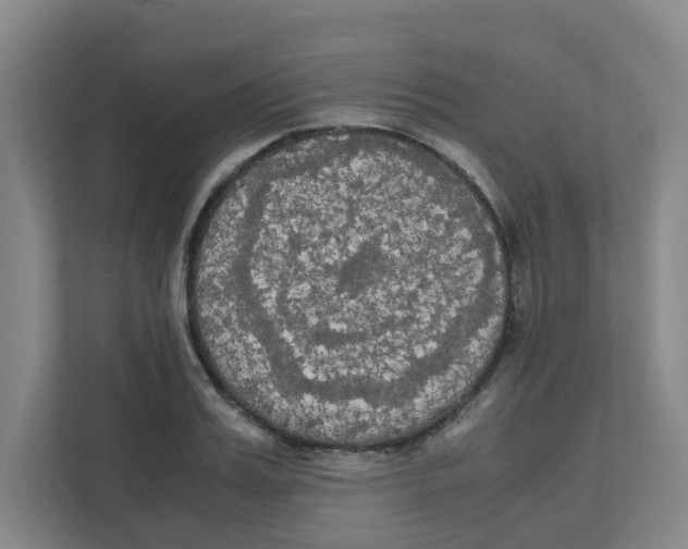 X0000111860987200908201254