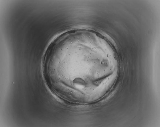 X0000111860989200908201254