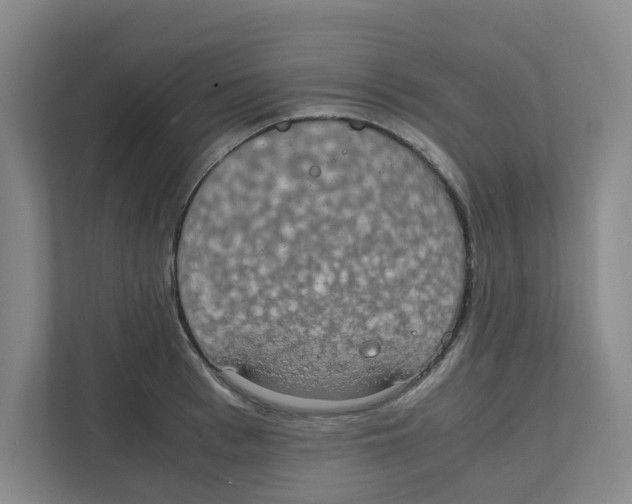X0000111860993200908201254