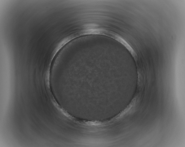 X0000111860994200908201254