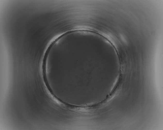 X0000111860995200908201254