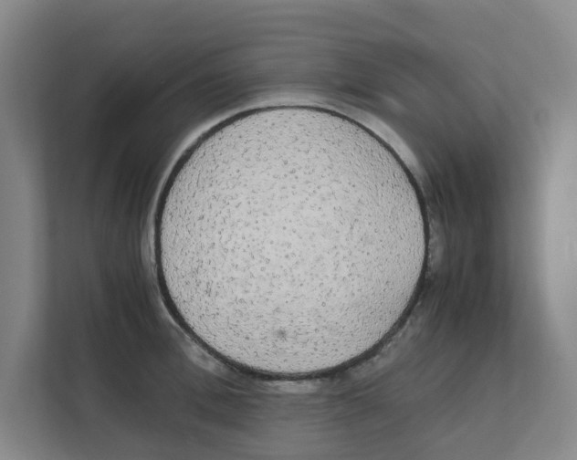 X0000111860996200908201254