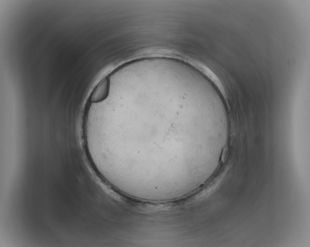 X0000111860997200908201253