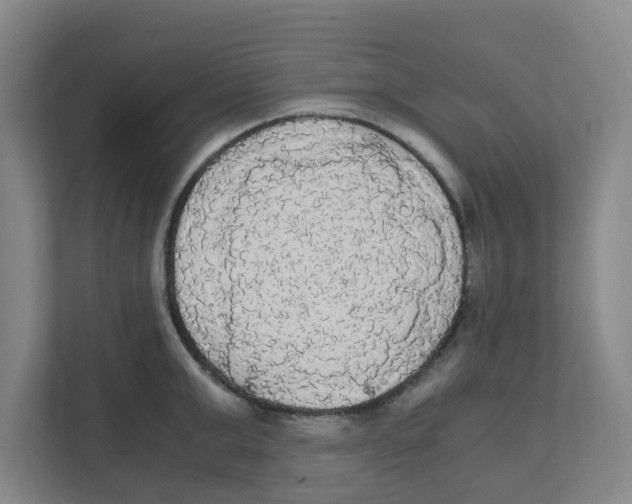 X0000111860999200908201253