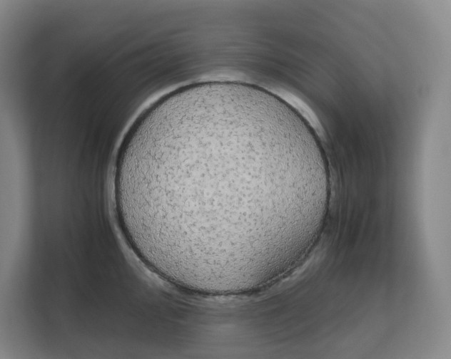 X0000111861000200908201253