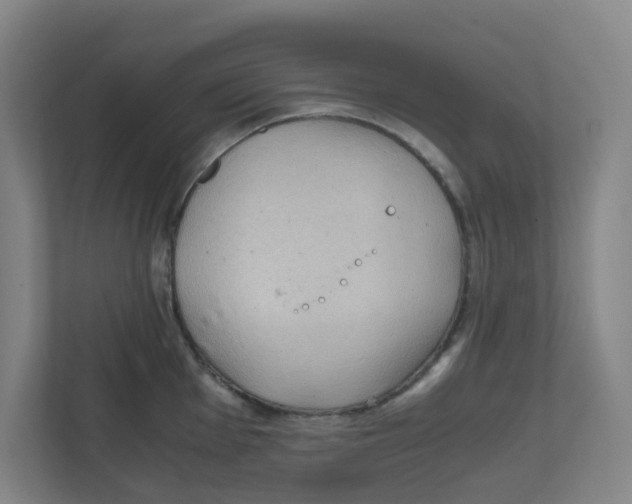 X0000111861001200908201253
