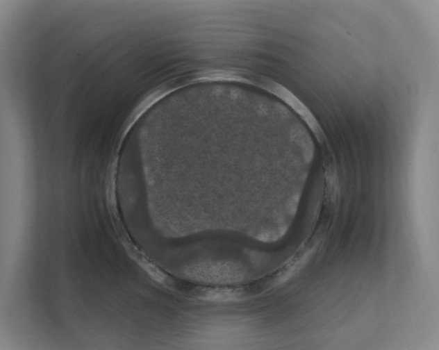 X0000111861002200908201253