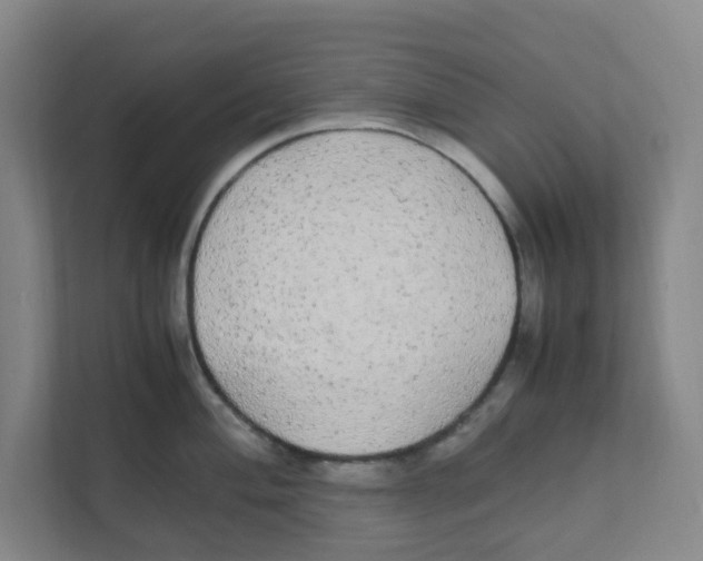 X0000111861004200908201253
