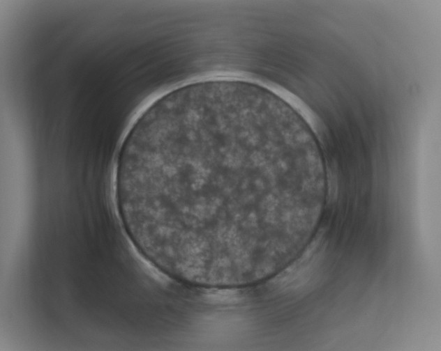 X0000111861006200908201253