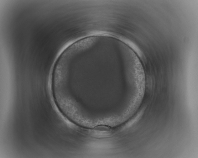 X0000111861007200908201253