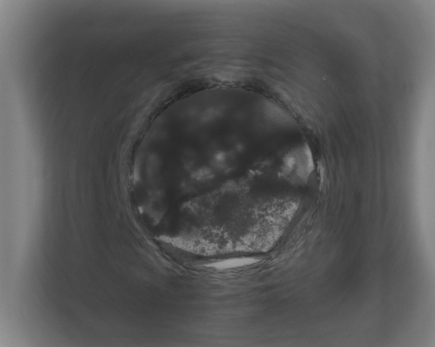 X0000111861009200908201253
