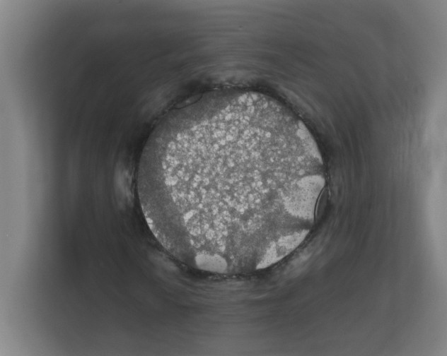 X0000111861010200908201253