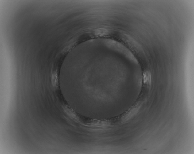 X0000111861011200908201253