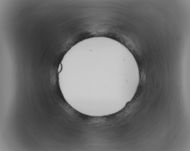X0000111861012200908201253