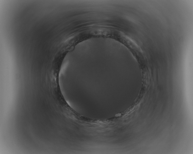 X0000111861013200908201253