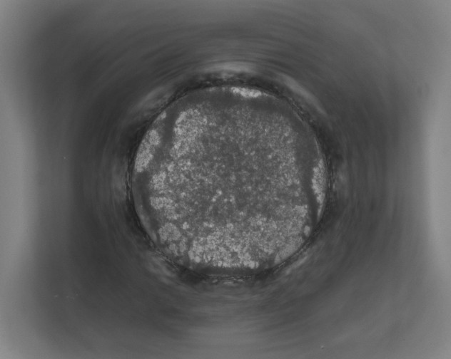 X0000111861014200908201253