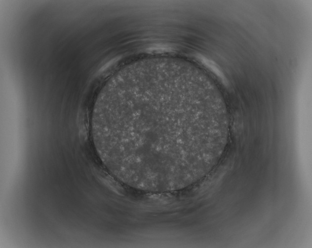 X0000111861015200908201253