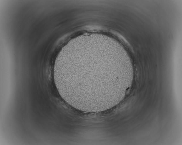 X0000111861016200908201253