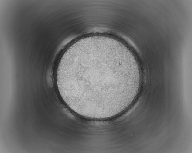 X0000111861018200908201253