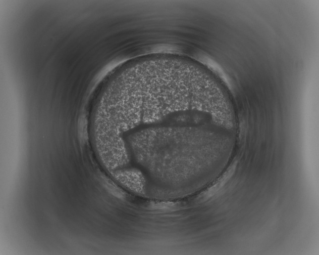 X0000111861019200908201253