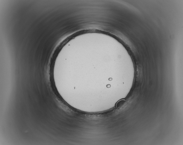 X0000111861020200908201253