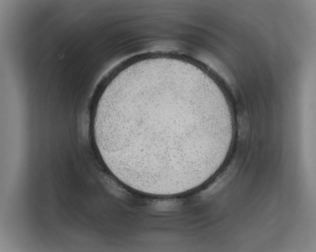 X0000111861021200908201253