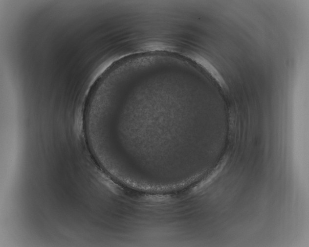 X0000111861023200908201253
