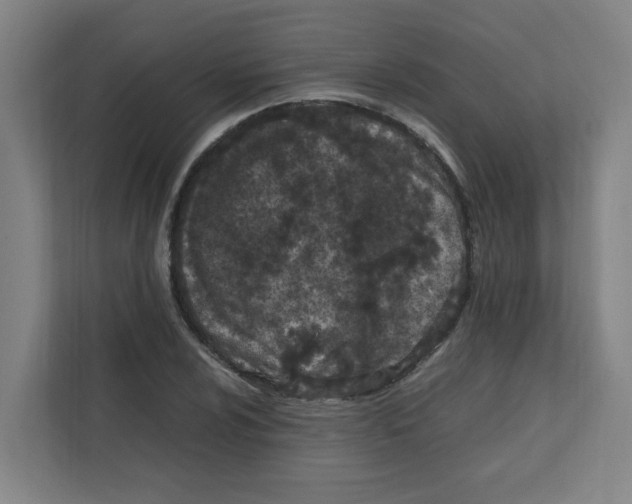 X0000111861024200908201253