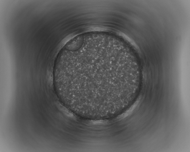 X0000111861025200908201253