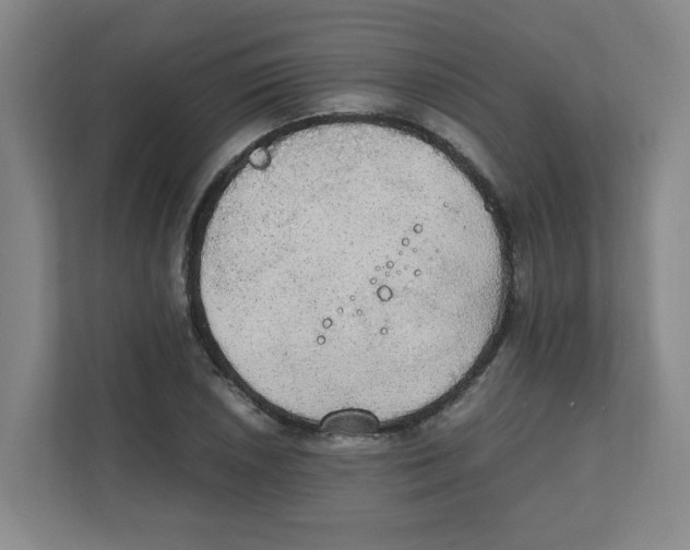 X0000111861026200908201253