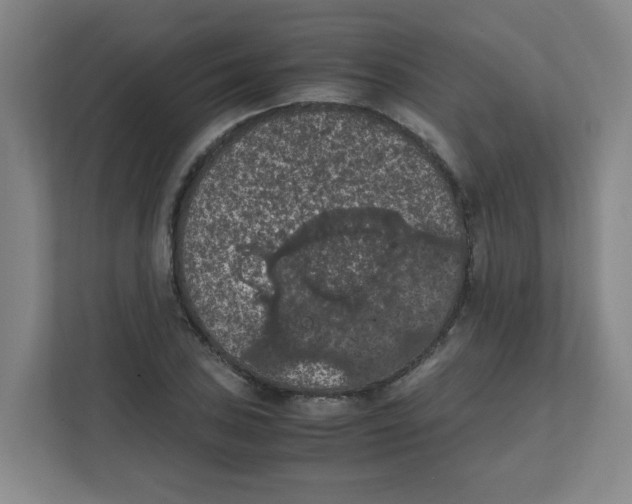 X0000111861027200908201253