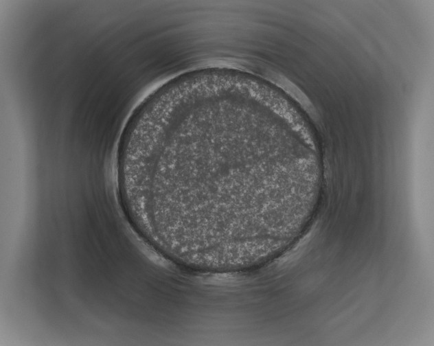X0000111861028200908201253