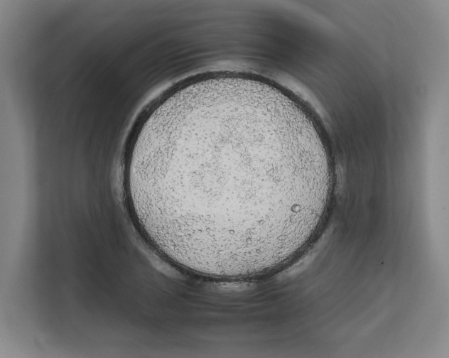X0000111861029200908201253