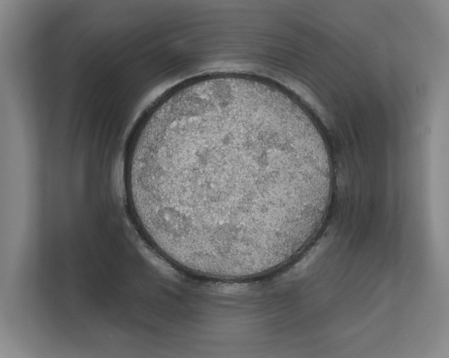 X0000111861030200908201253
