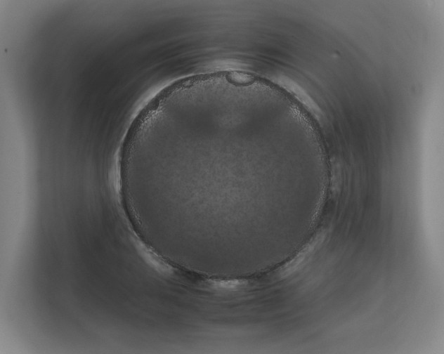 X0000111861031200908201253