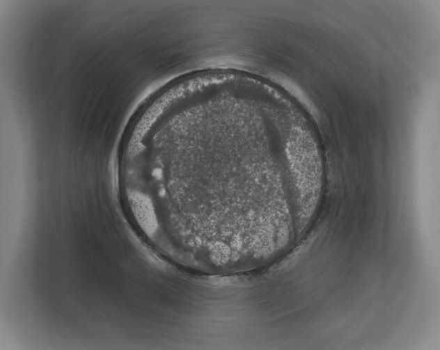 X0000111861032200908201253