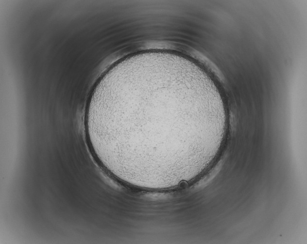 X0000111861033200908201253