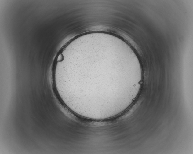 X0000111861034200908201253