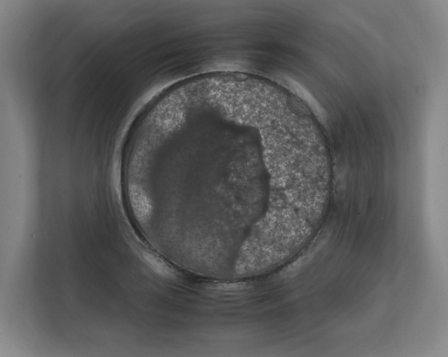 X0000111861035200908201253