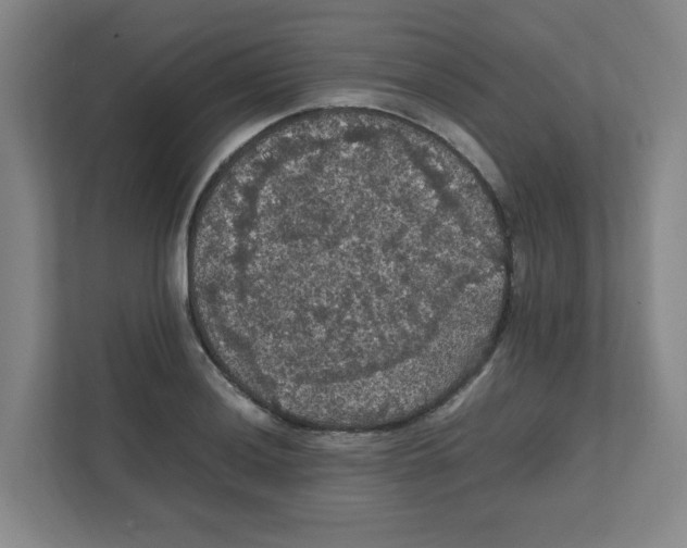 X0000111861036200908201253