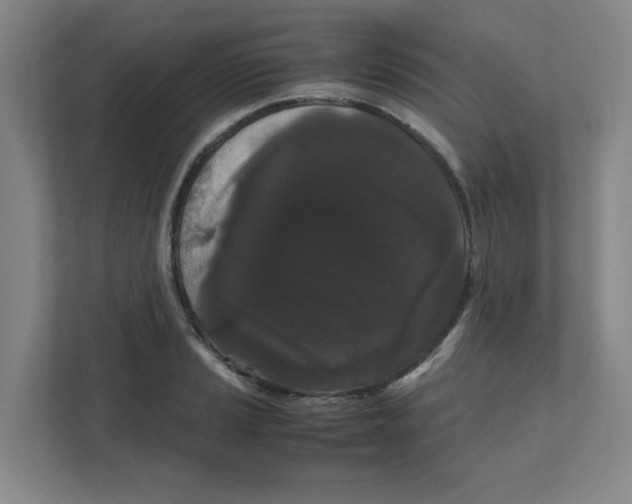 X0000111861037200908201253