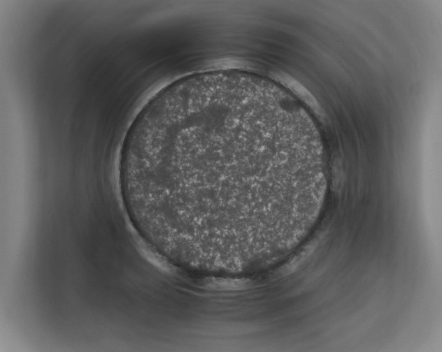 X0000111861039200908201253