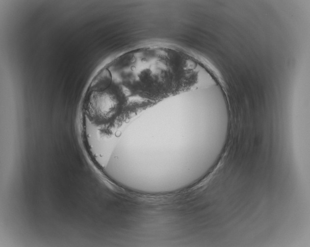 X0000111861040200908201253