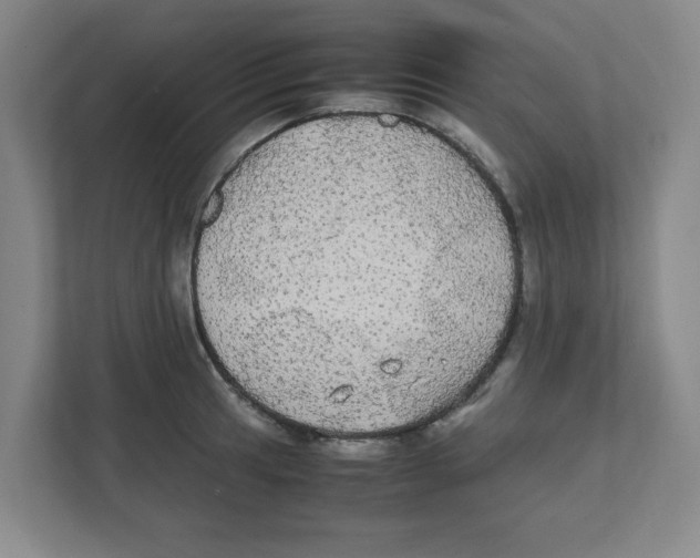 X0000111861041200908201253