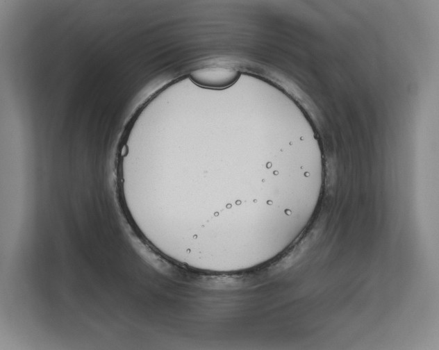 X0000111861042200908201253