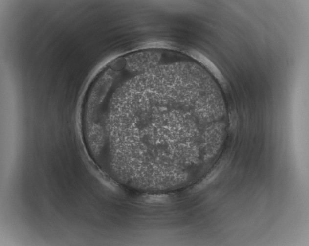 X0000111861043200908201253