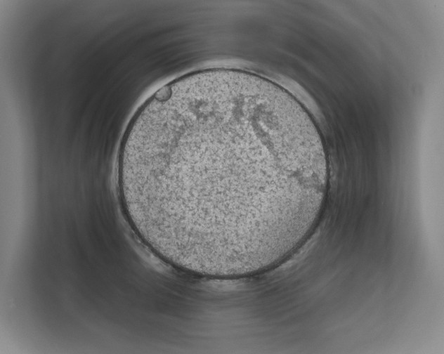 X0000111861044200908201253