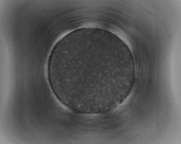 X0000111861045200908201253