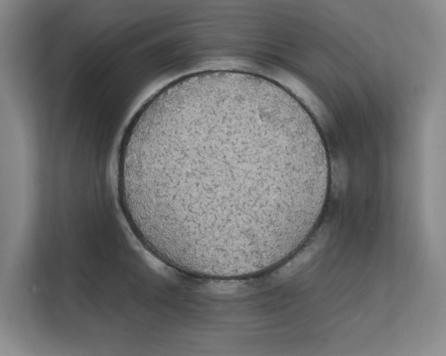 X0000111861046200908201253