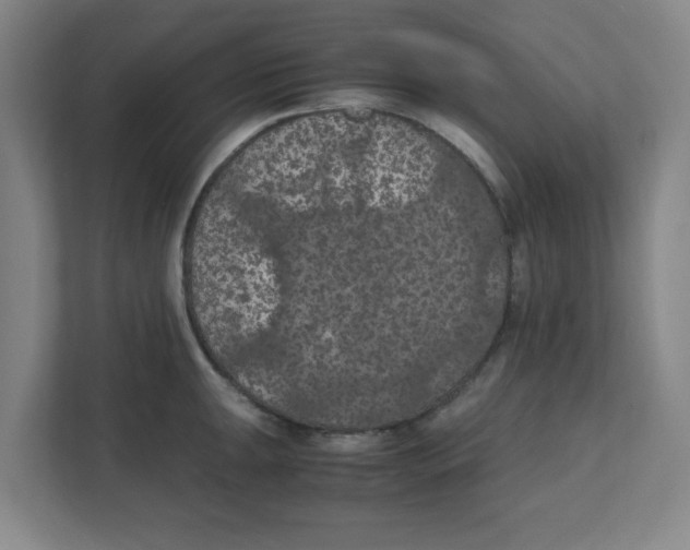 X0000111861047200908201253